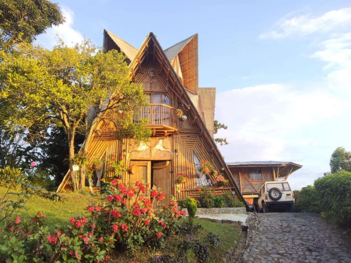 חריקו Chalet Ecoturismo La Nohelia מראה חיצוני תמונה