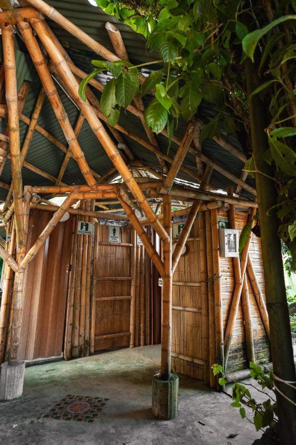 חריקו Chalet Ecoturismo La Nohelia מראה חיצוני תמונה