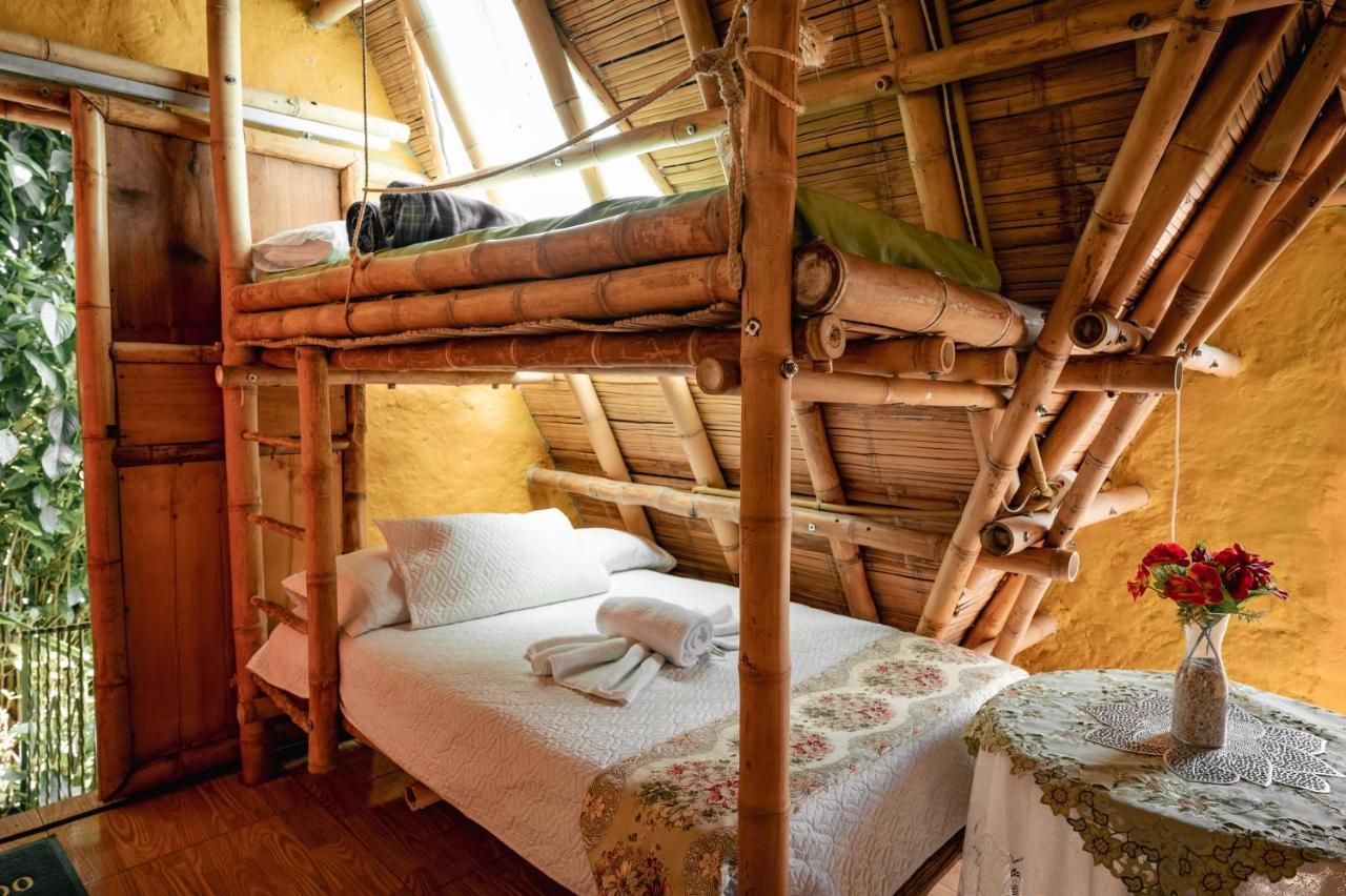 חריקו Chalet Ecoturismo La Nohelia מראה חיצוני תמונה