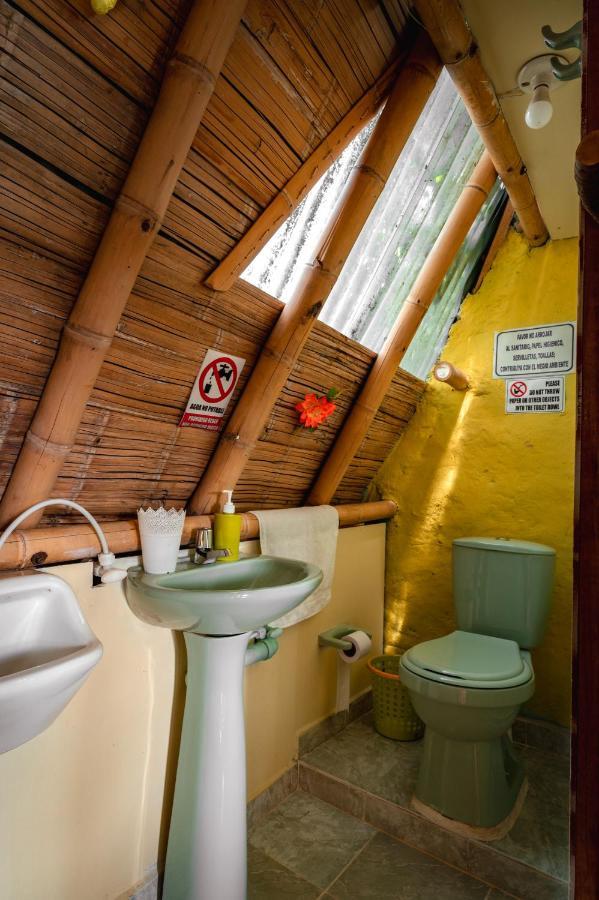 חריקו Chalet Ecoturismo La Nohelia מראה חיצוני תמונה