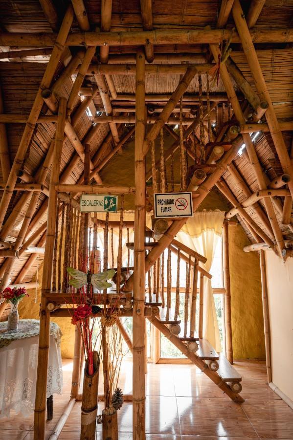 חריקו Chalet Ecoturismo La Nohelia מראה חיצוני תמונה