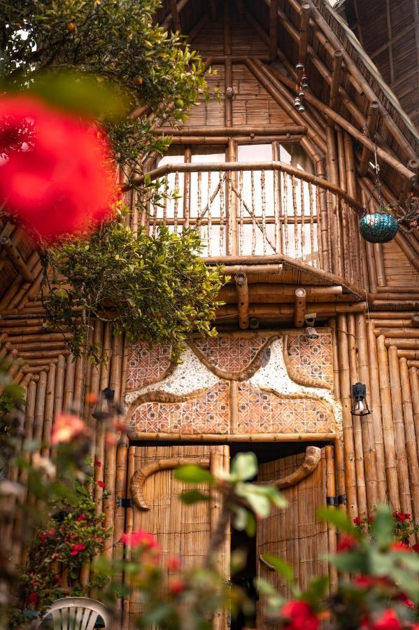 חריקו Chalet Ecoturismo La Nohelia מראה חיצוני תמונה