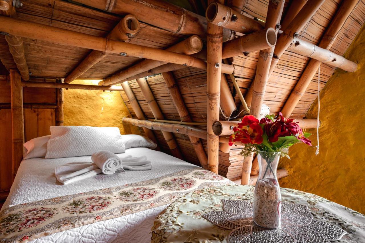 חריקו Chalet Ecoturismo La Nohelia מראה חיצוני תמונה