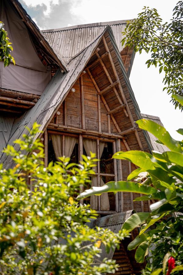 חריקו Chalet Ecoturismo La Nohelia מראה חיצוני תמונה