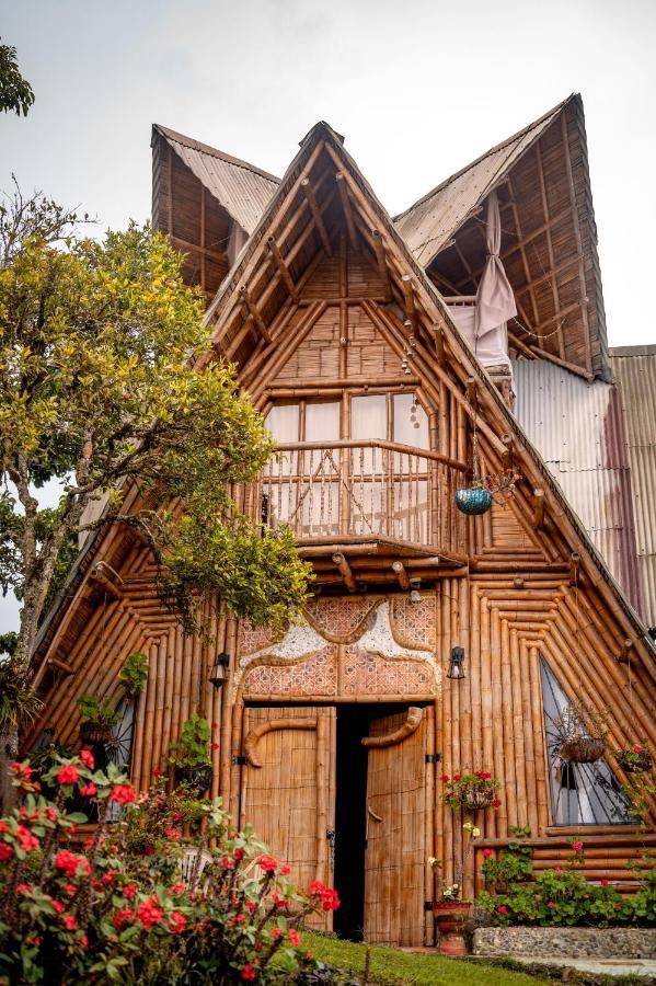 חריקו Chalet Ecoturismo La Nohelia מראה חיצוני תמונה