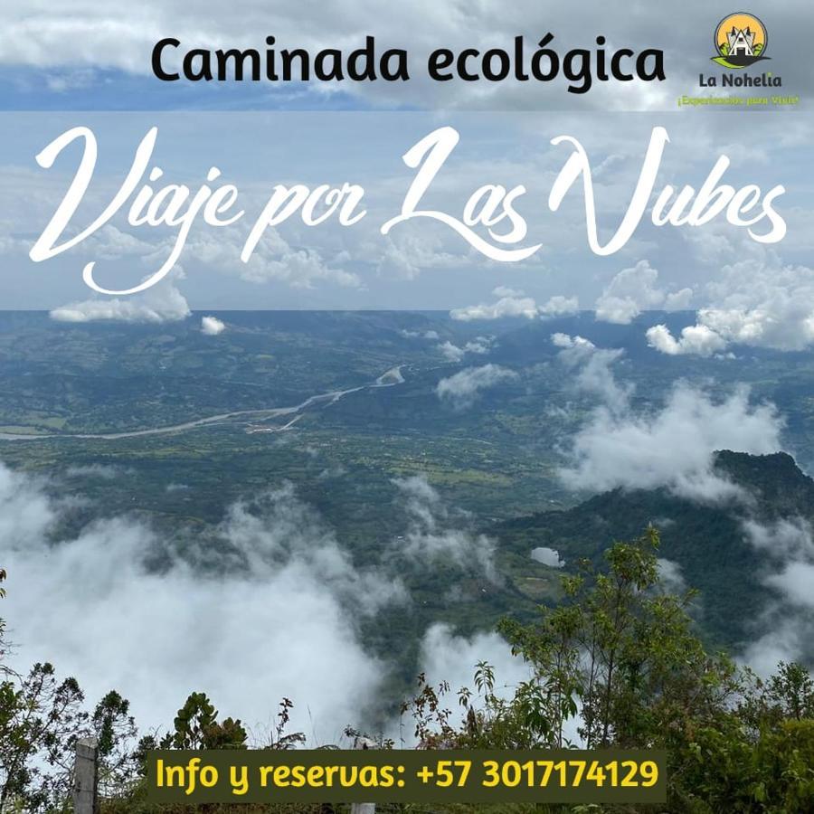 חריקו Chalet Ecoturismo La Nohelia מראה חיצוני תמונה